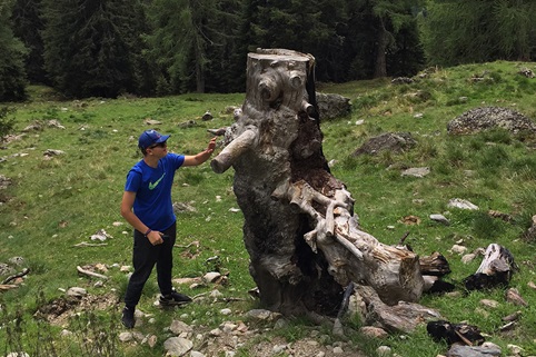 Naturparadies auf der Emberger Alm